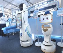 <b>并呈现多元化的成长</b>