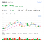 中投资于以英伟达为代表的公司